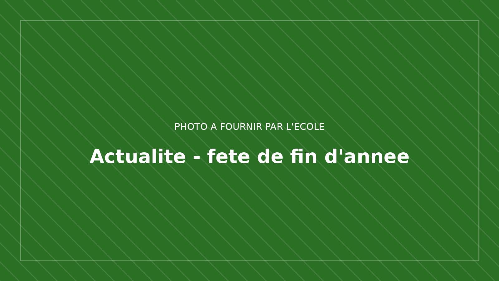 Le spectacle de fin d'année dans la cour de l'école